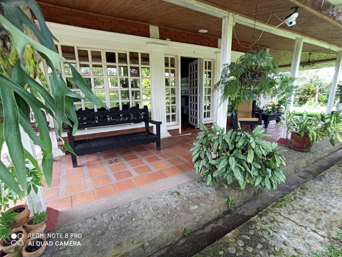 Villa Monica Montenegro Exterior foto