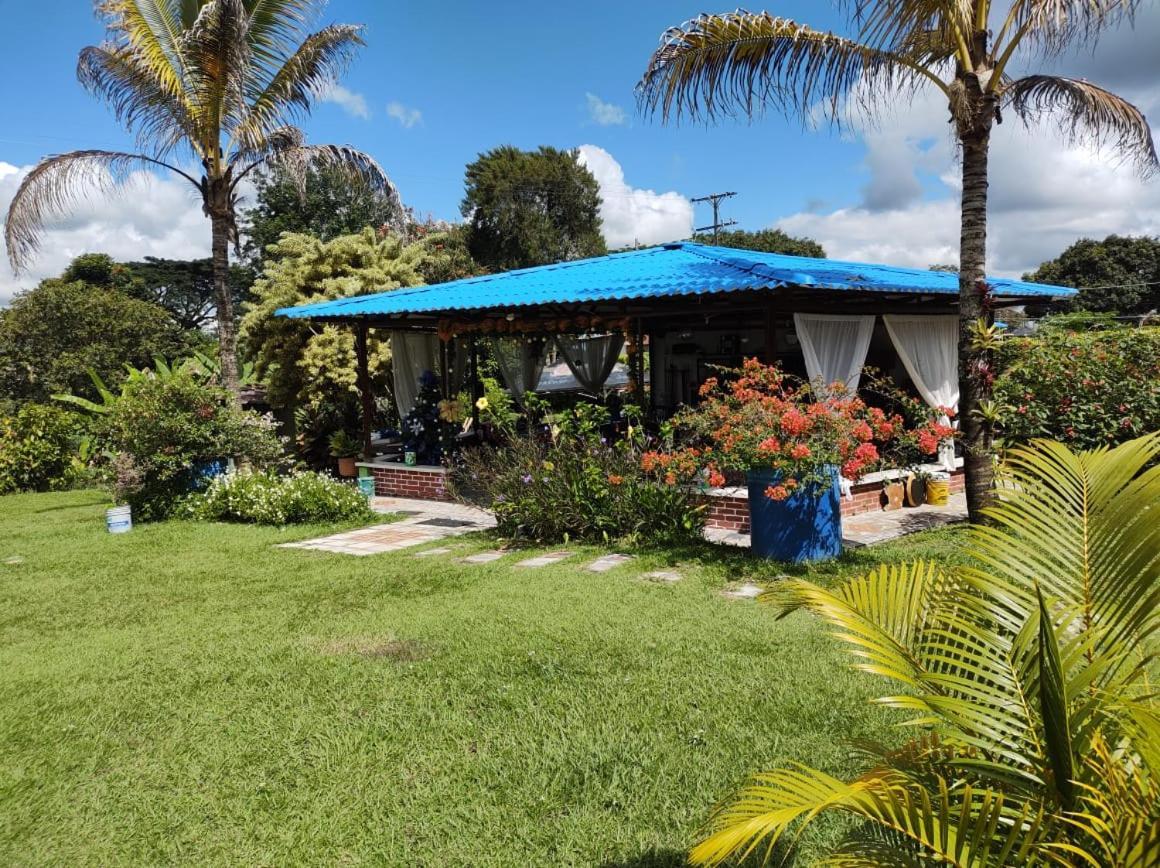 Villa Monica Montenegro Exterior foto